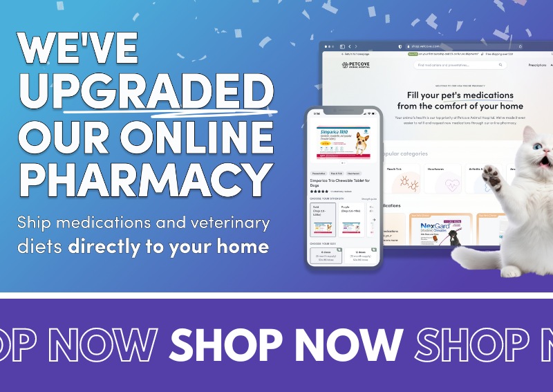 Carousel Slide 1: Shop Our Online Pet Pharmacy