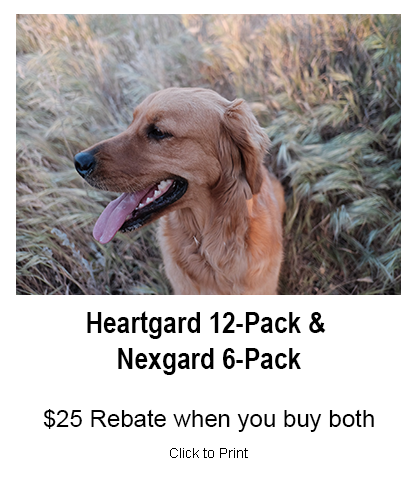 Heartgard & Nexgard Special