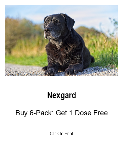 Nexgard 6-Pack Special